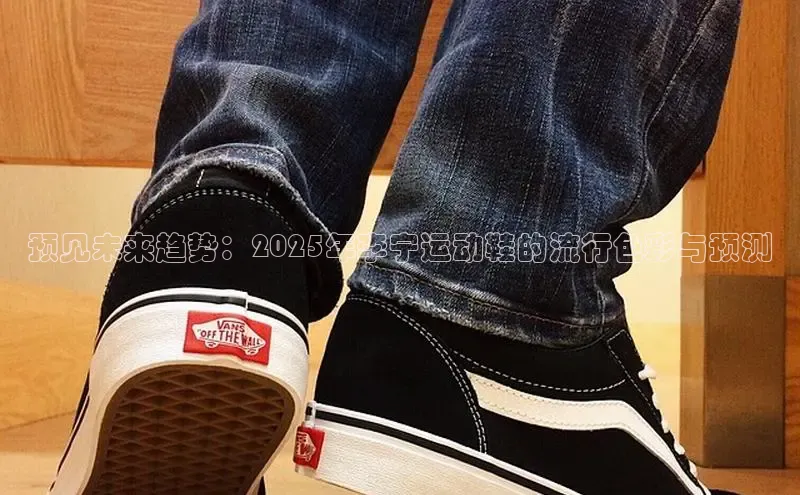 预见未来趋势：2025年李宁运动鞋的流行色彩与预测