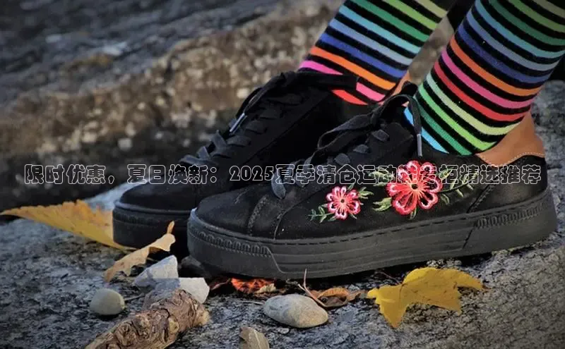 XCSport网页版入口