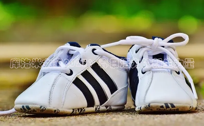 XCSport网页版入口