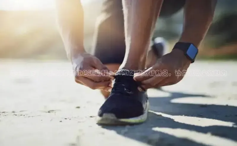 XCSport网页版入口